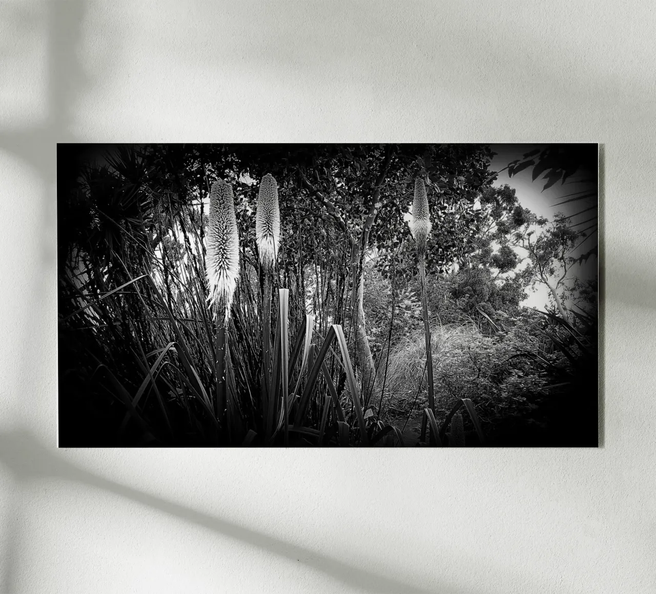 BW24 plexiglass da Thierry vobmann photography