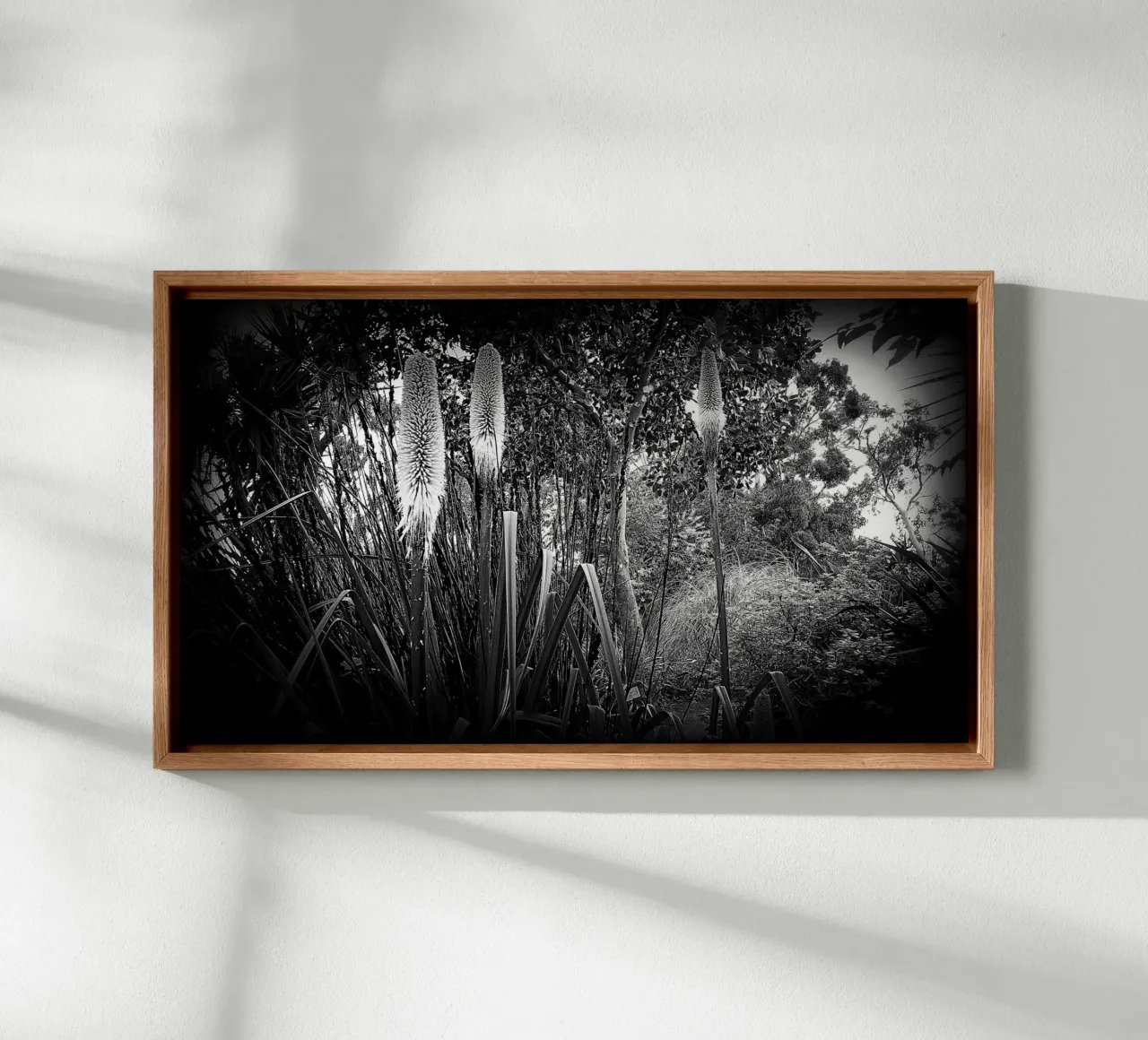 BW24 tela con Cornice a cassetta da Thierry vobmann photography