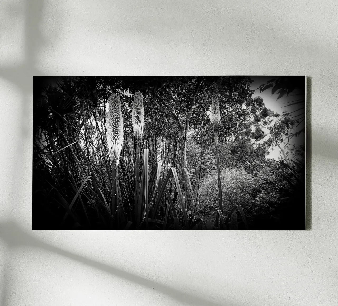BW24 tela con Cornice a cassetta da Thierry vobmann photography
