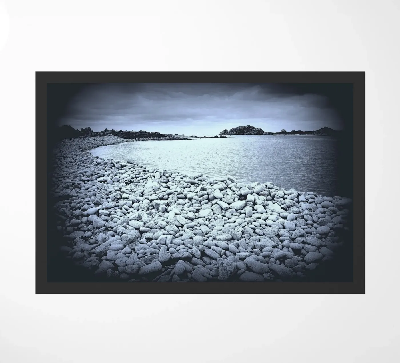 BW28 zerbino da Thierry vobmann photography