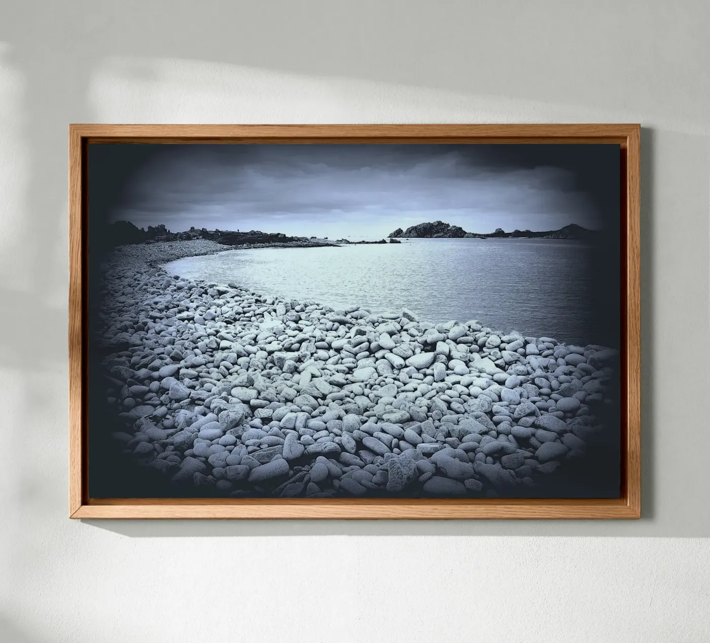 BW28 forex plate by Thierry vobmann photography