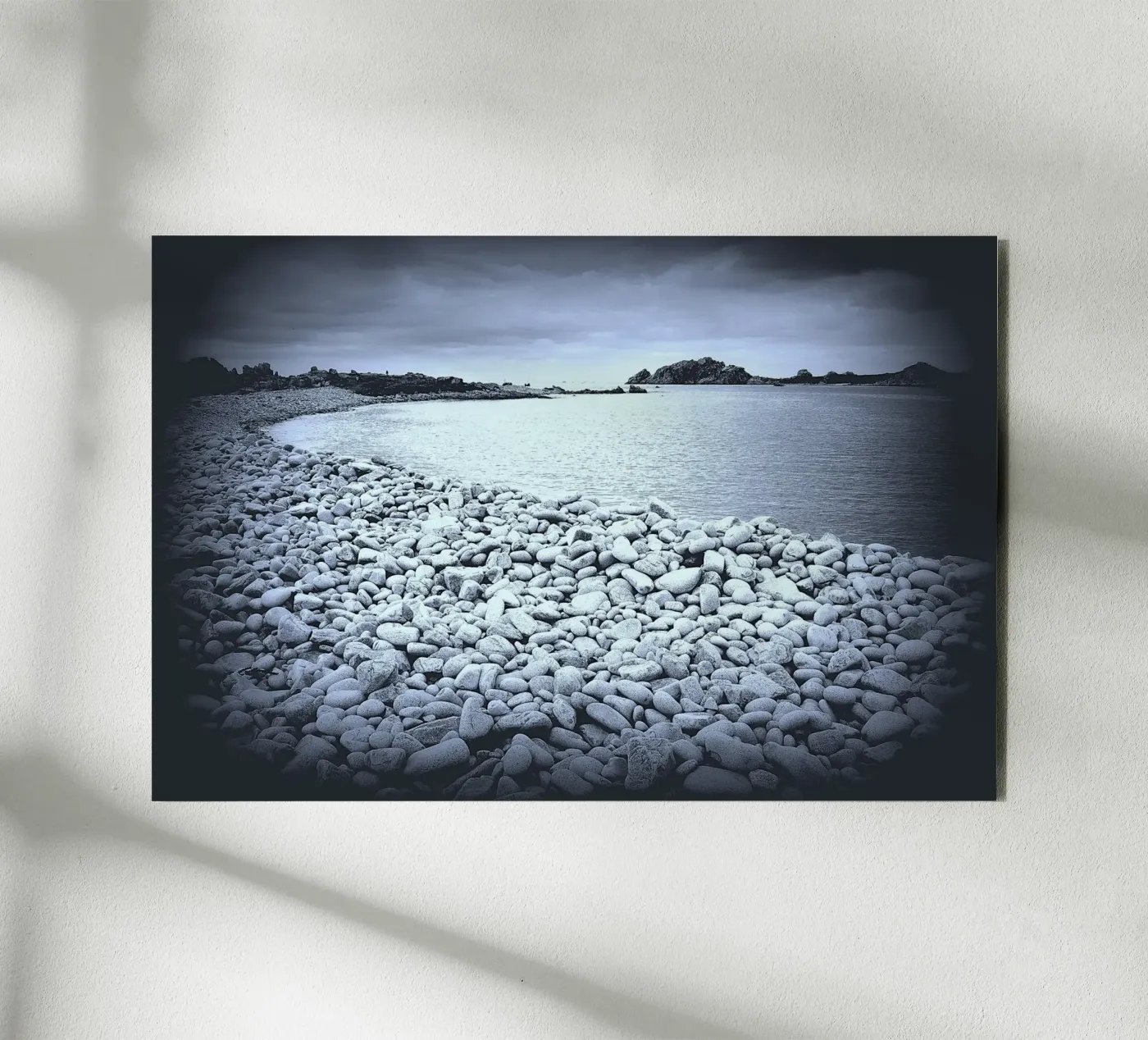 BW28 forex plate by Thierry vobmann photography
