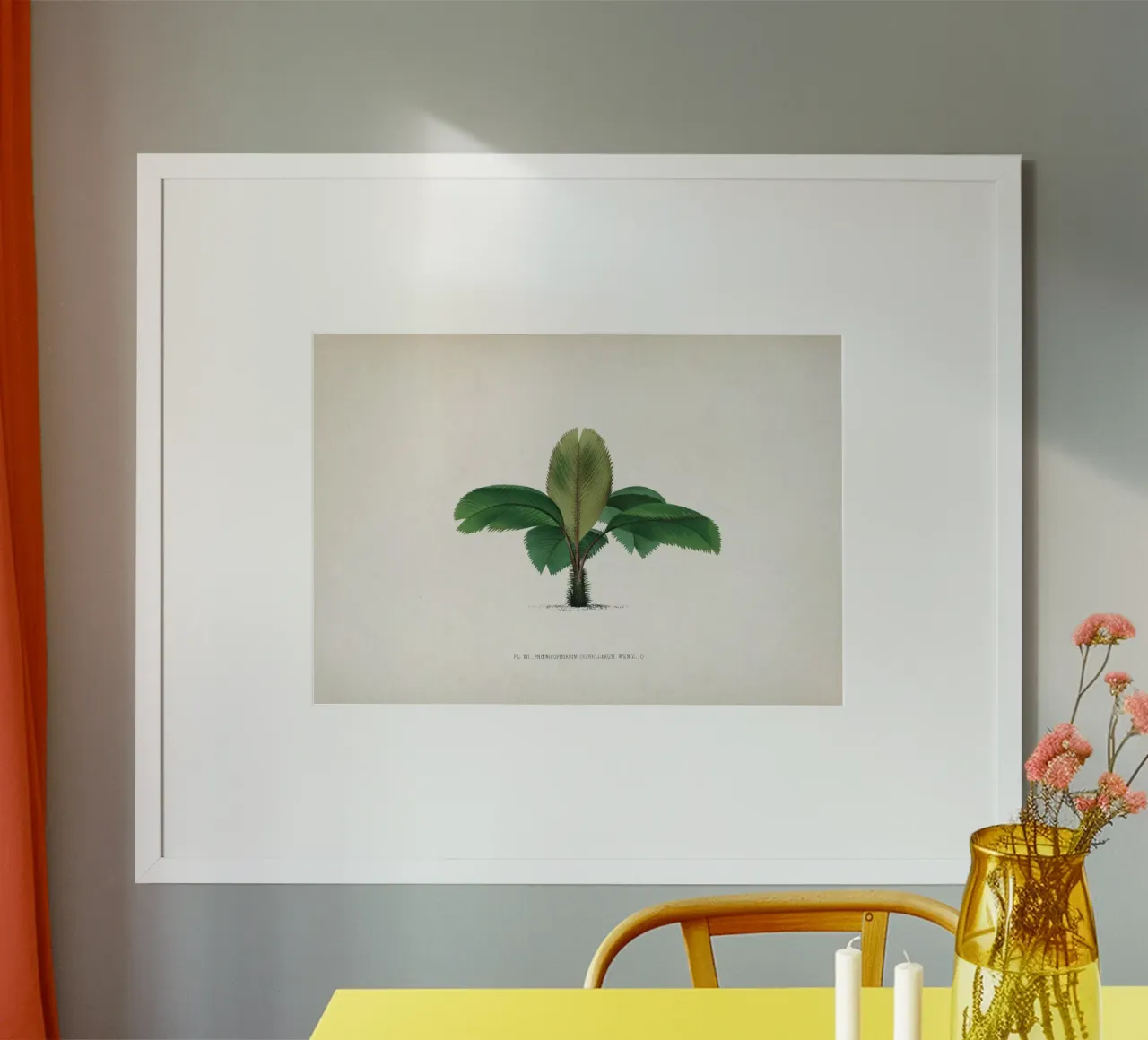 Vintage Kerchove 1 Les Palmiers 12 poster con telaio in legno da Vintage Print Collection