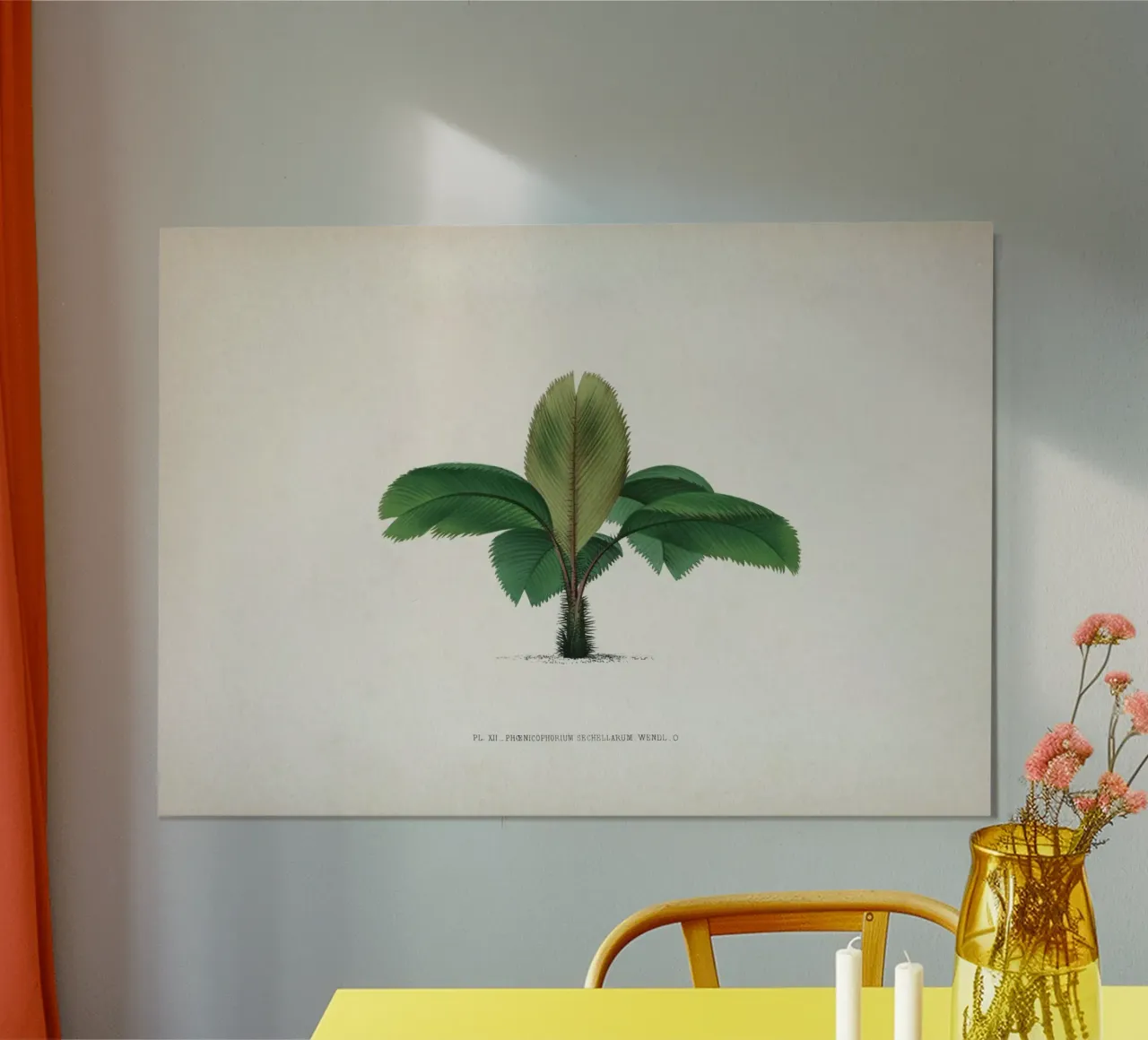 Vintage Kerchove 1 Les Palmiers 12 poster con telaio in legno da Vintage Print Collection