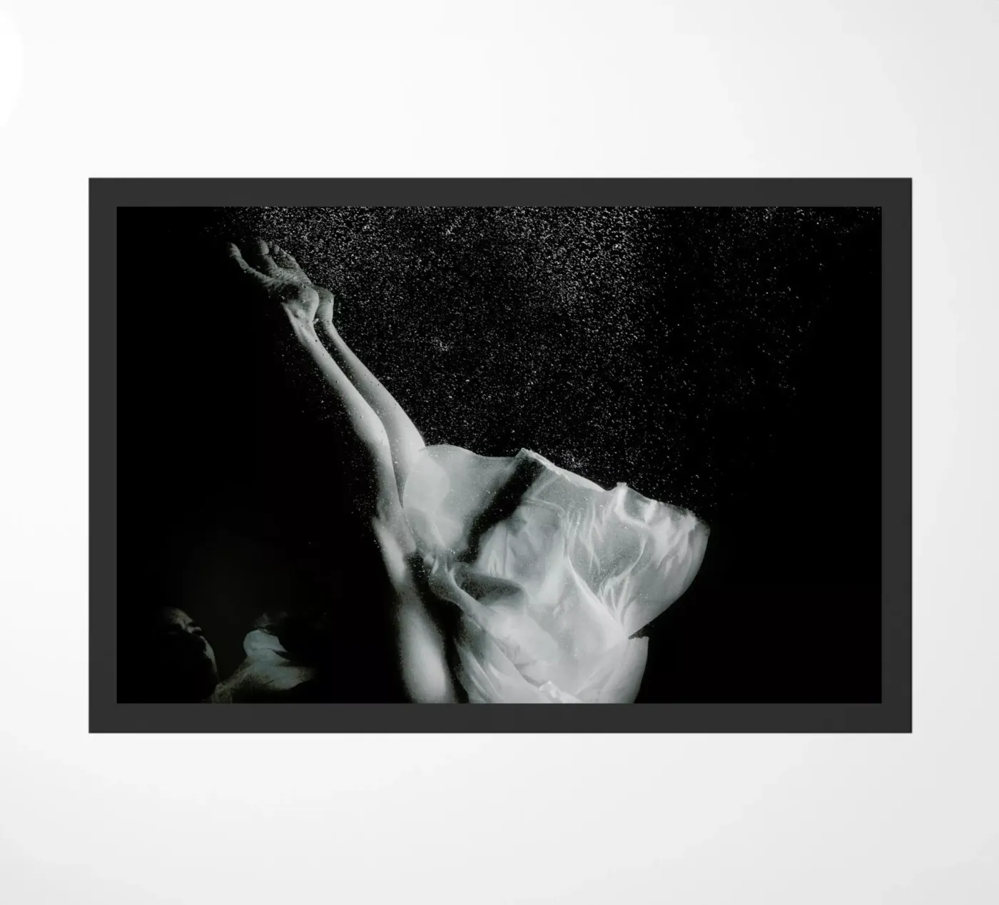 Dance, Dance, Dance 2 zerbino da Günther Egger