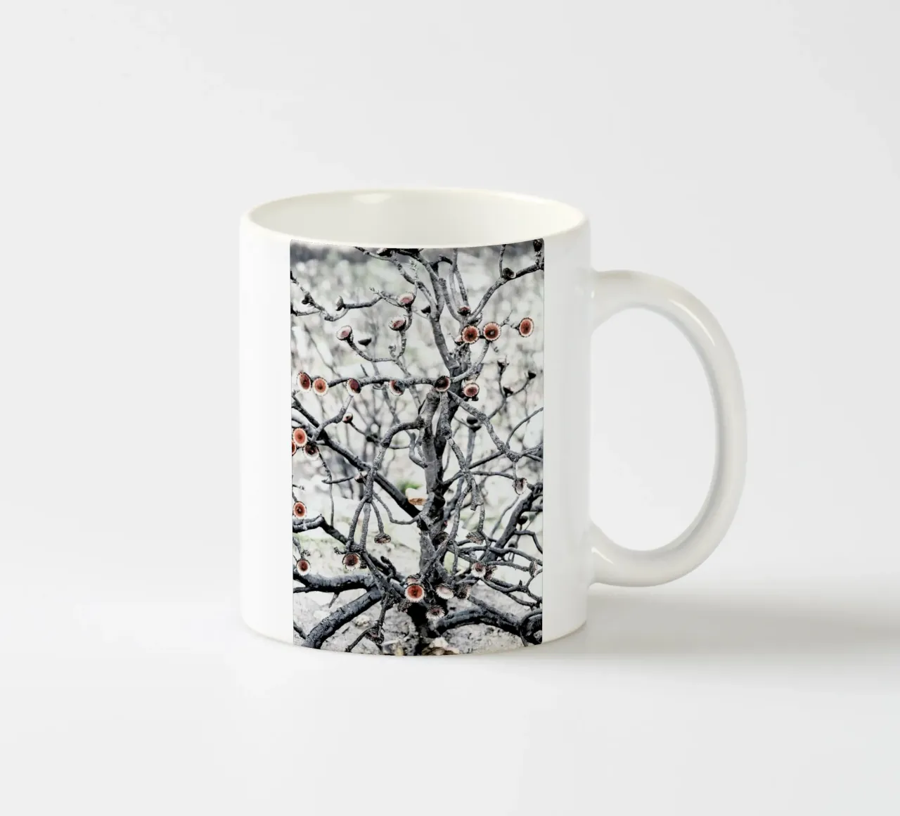 Swartberg Protea 1 tazza in ceramica da Shot By Clint