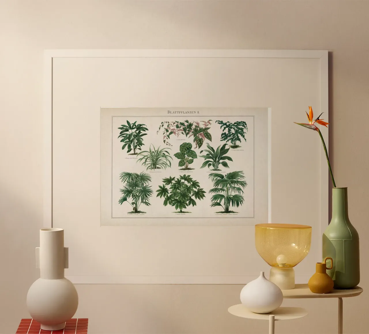 Vintage Meyers 1 Blattpflanzen 2 poster by Vintage Print Collection