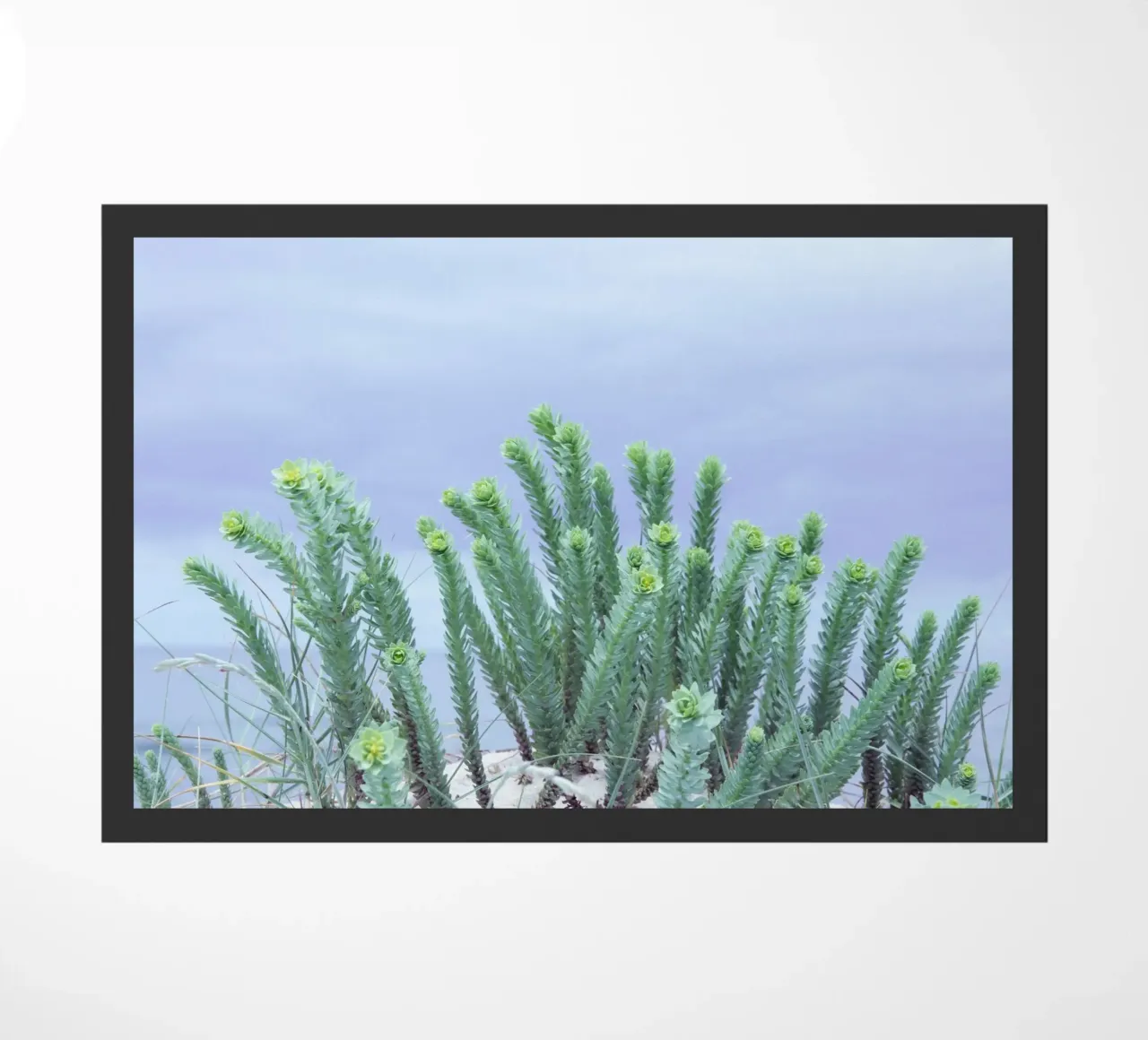 Dune di morbidezza zerbino da Teresa André