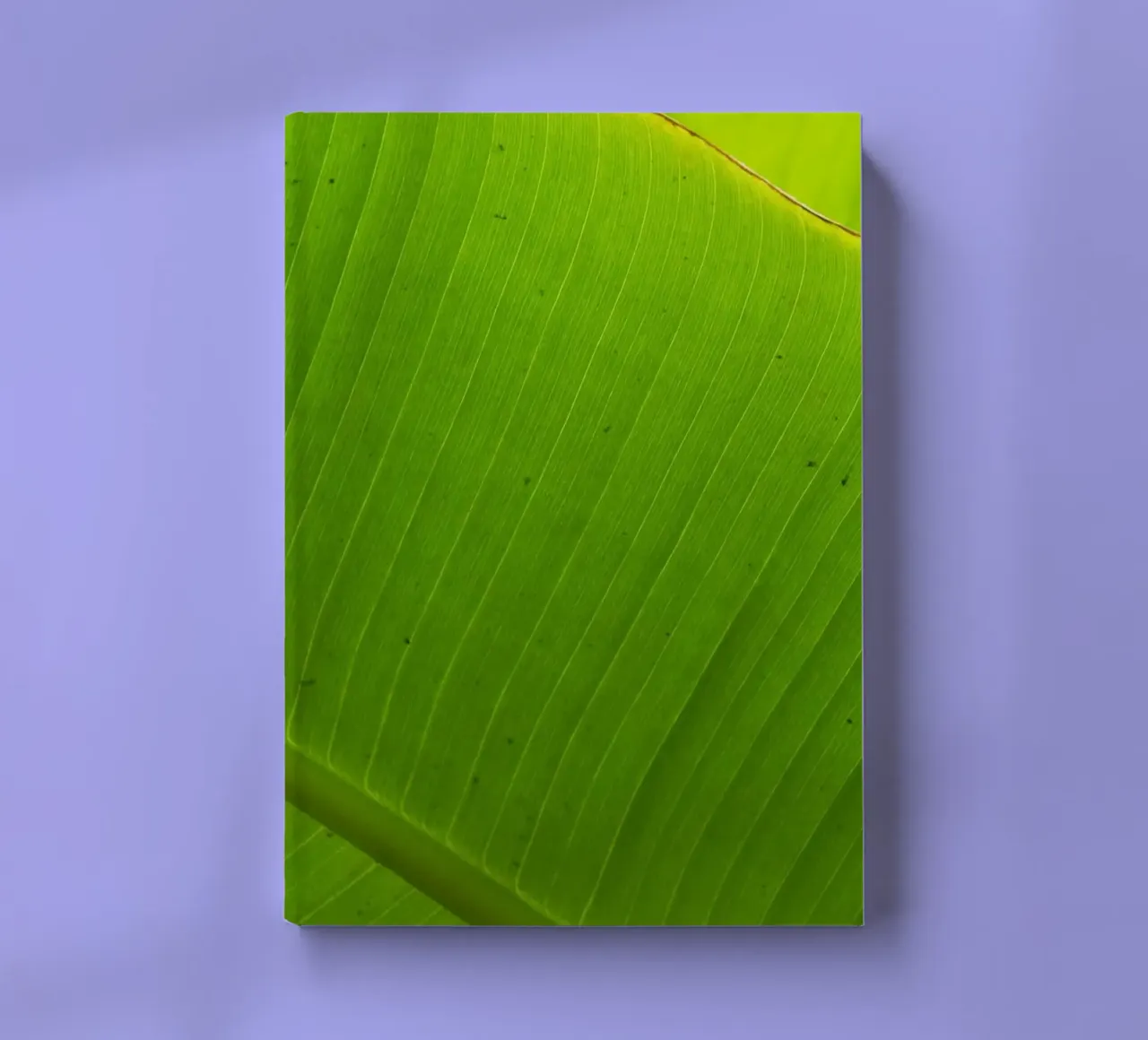 Leaf banana notebook by Teresa André
