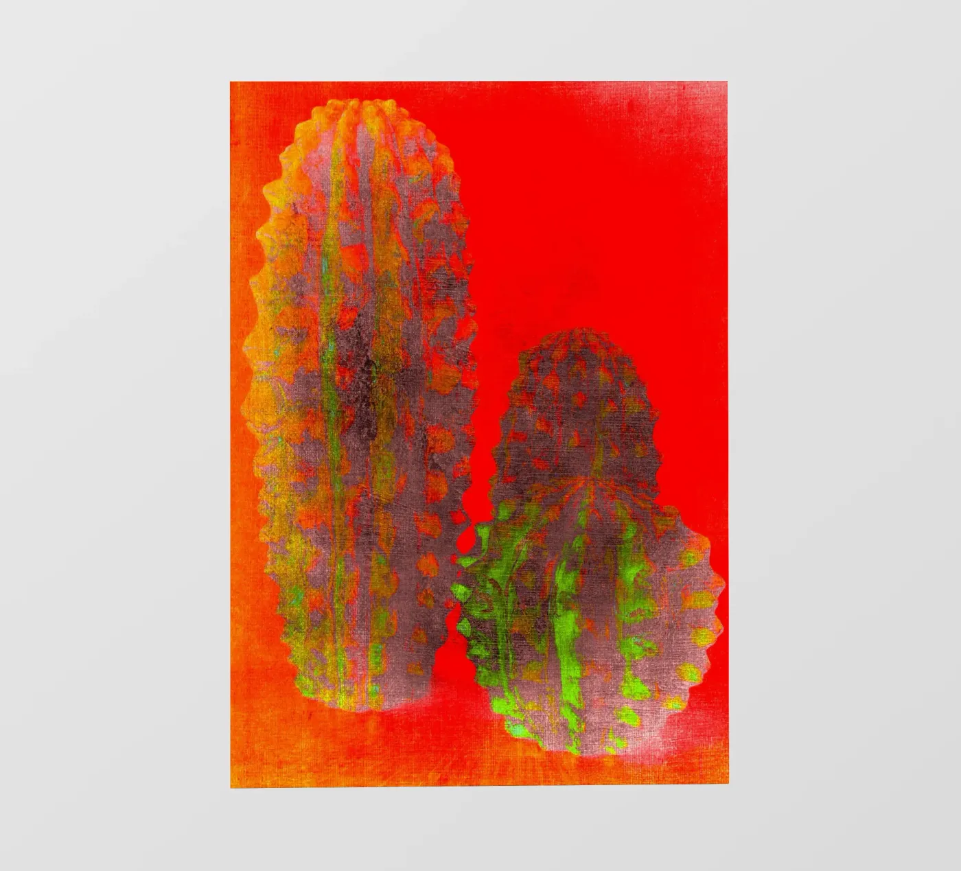 Three cactus Fototapete von Teresa André