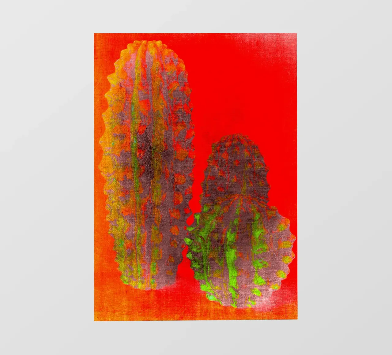 Drie cactussen fotobehang van Teresa André
