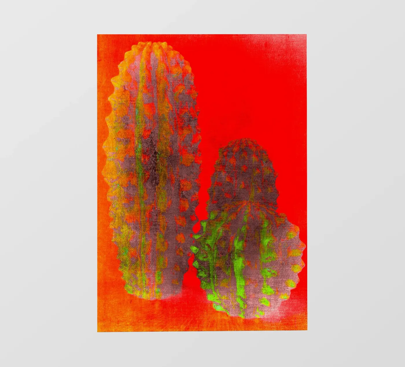 Trois cactus papier peint photo de Teresa André