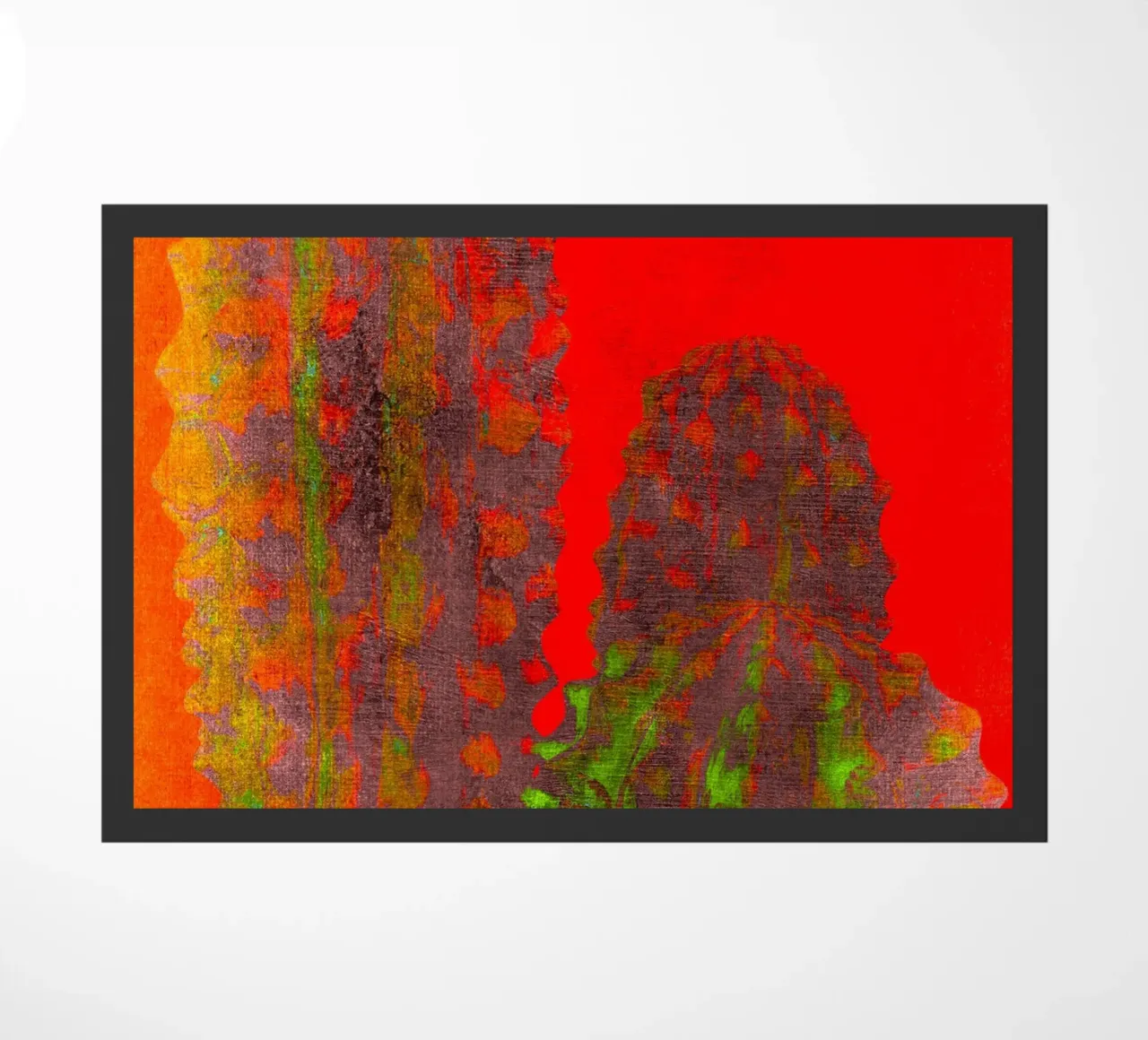 Tre cactus zerbino da Teresa André