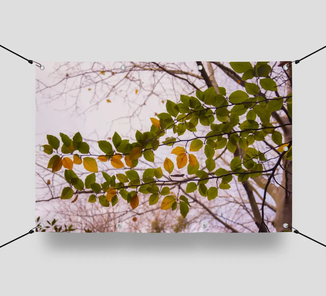 Ramo dell'albero telo in pvc da Teresa André