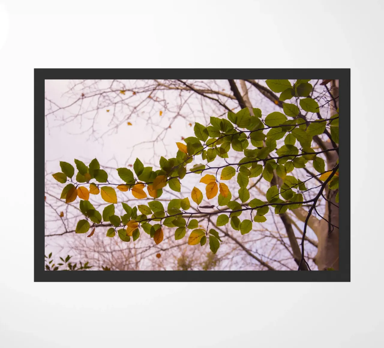 Tree branch doormat by Teresa André