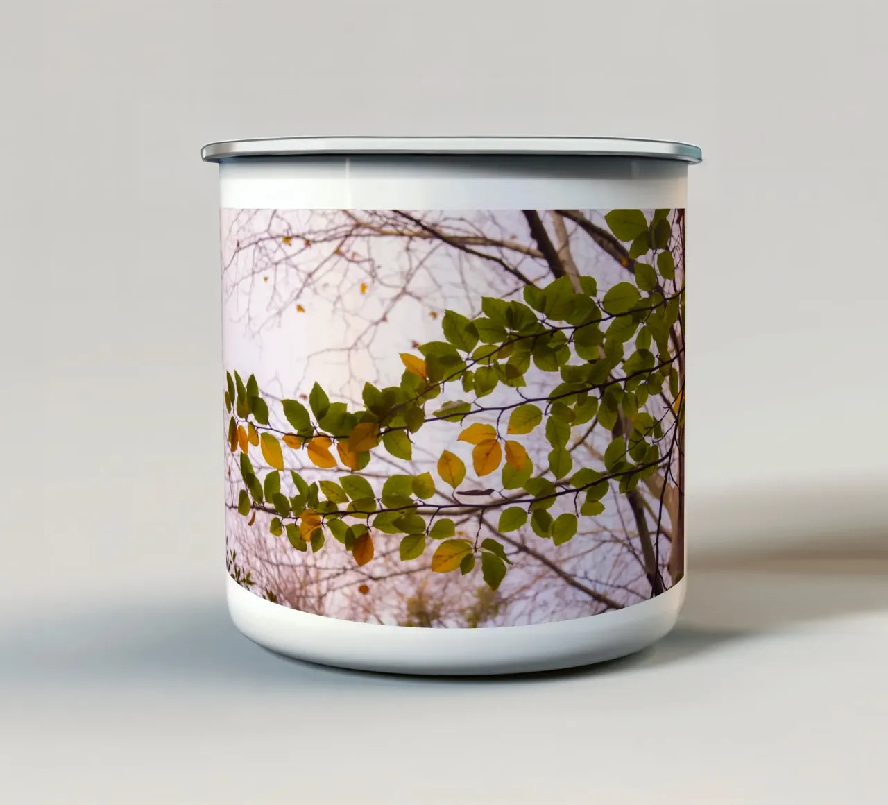 Ramo dell'albero tazza in smalto da Teresa André