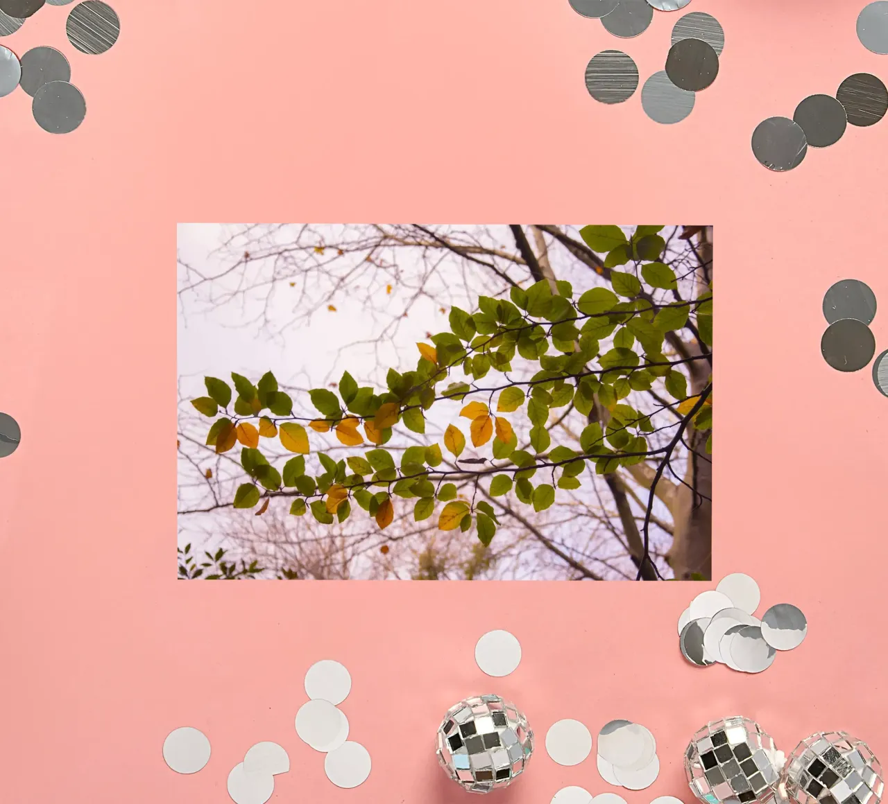 Tree branch sticker by Teresa André
