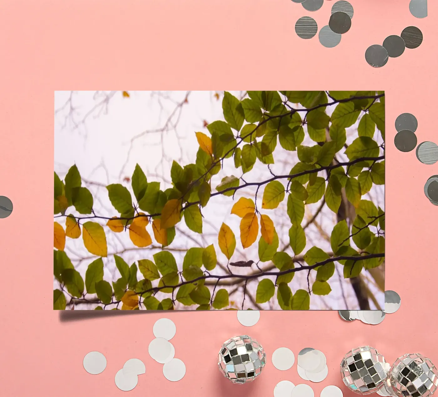Tree branch sticker sheet by Teresa André