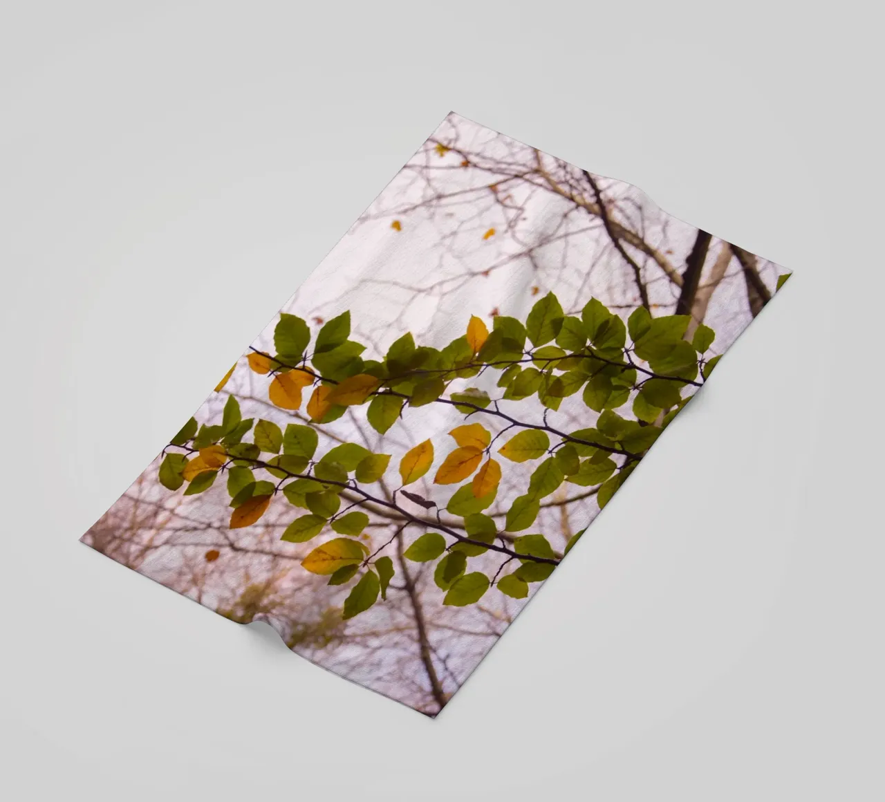 Tree branch beach towel by Teresa André