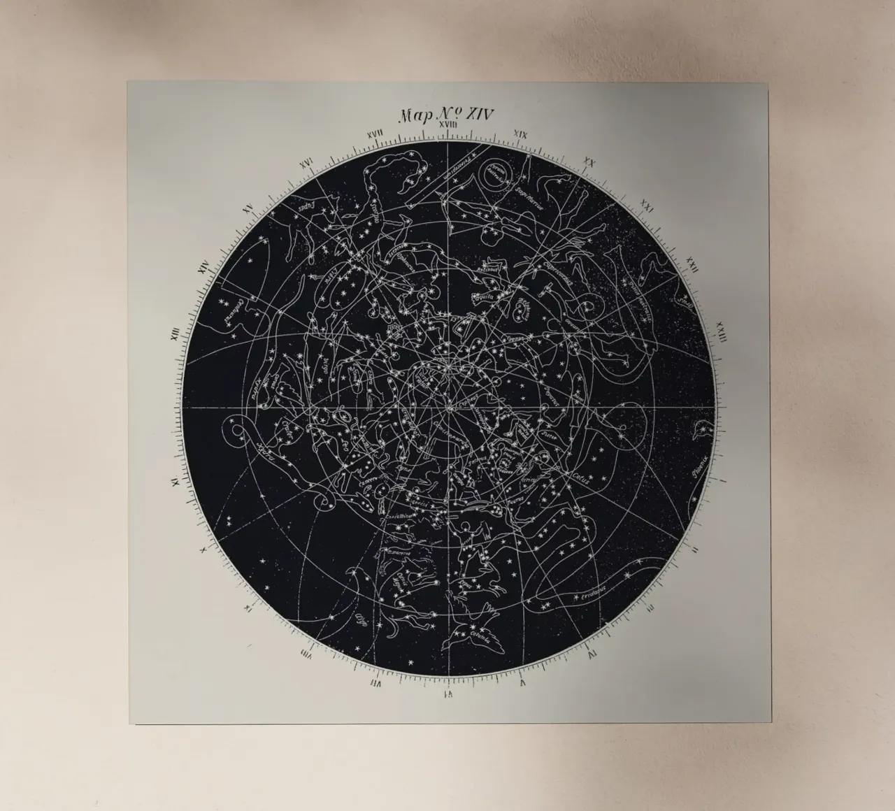 Map n°XIV backlit folie van Astër