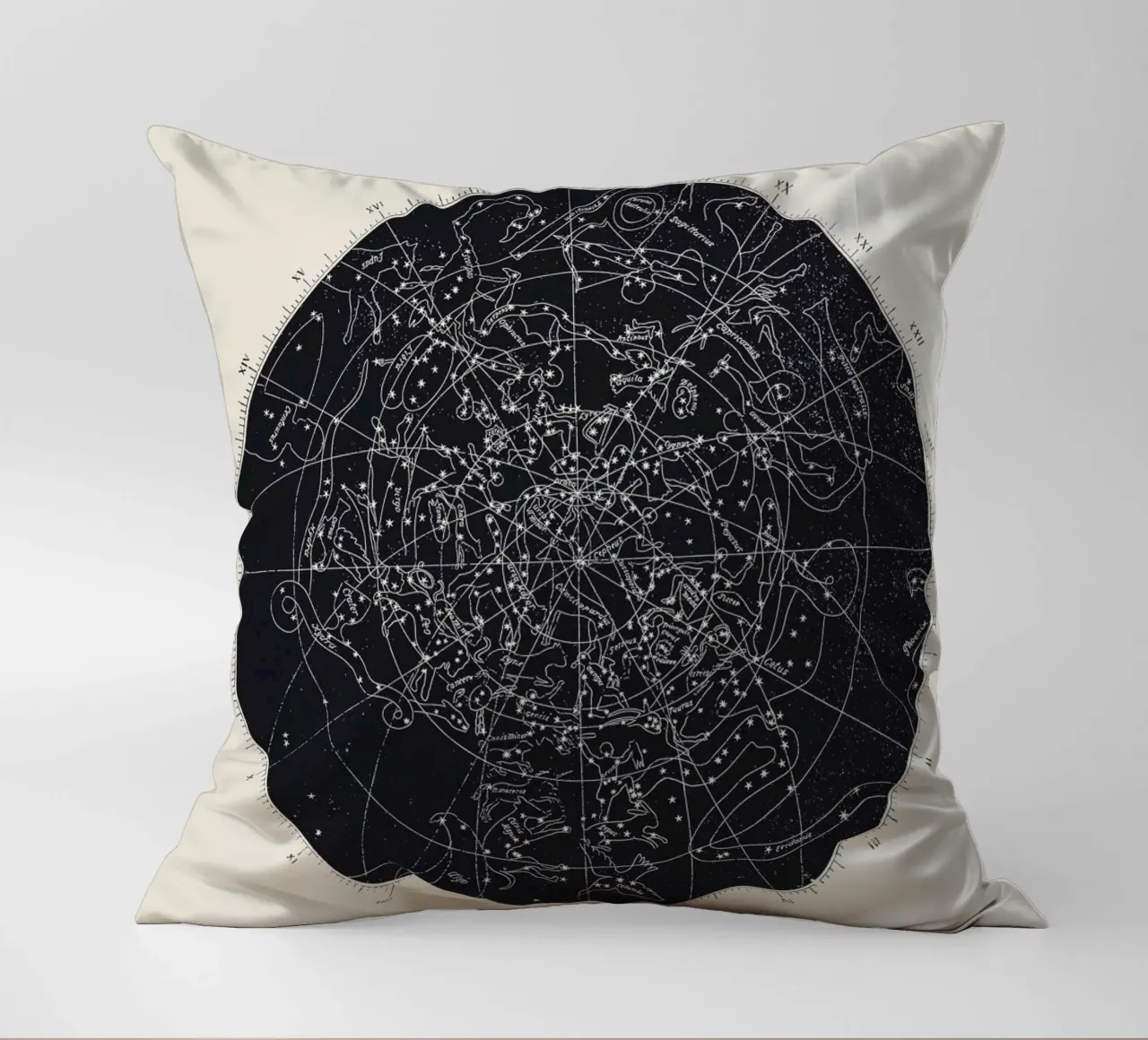 Map n°XIV cuscino da Astër