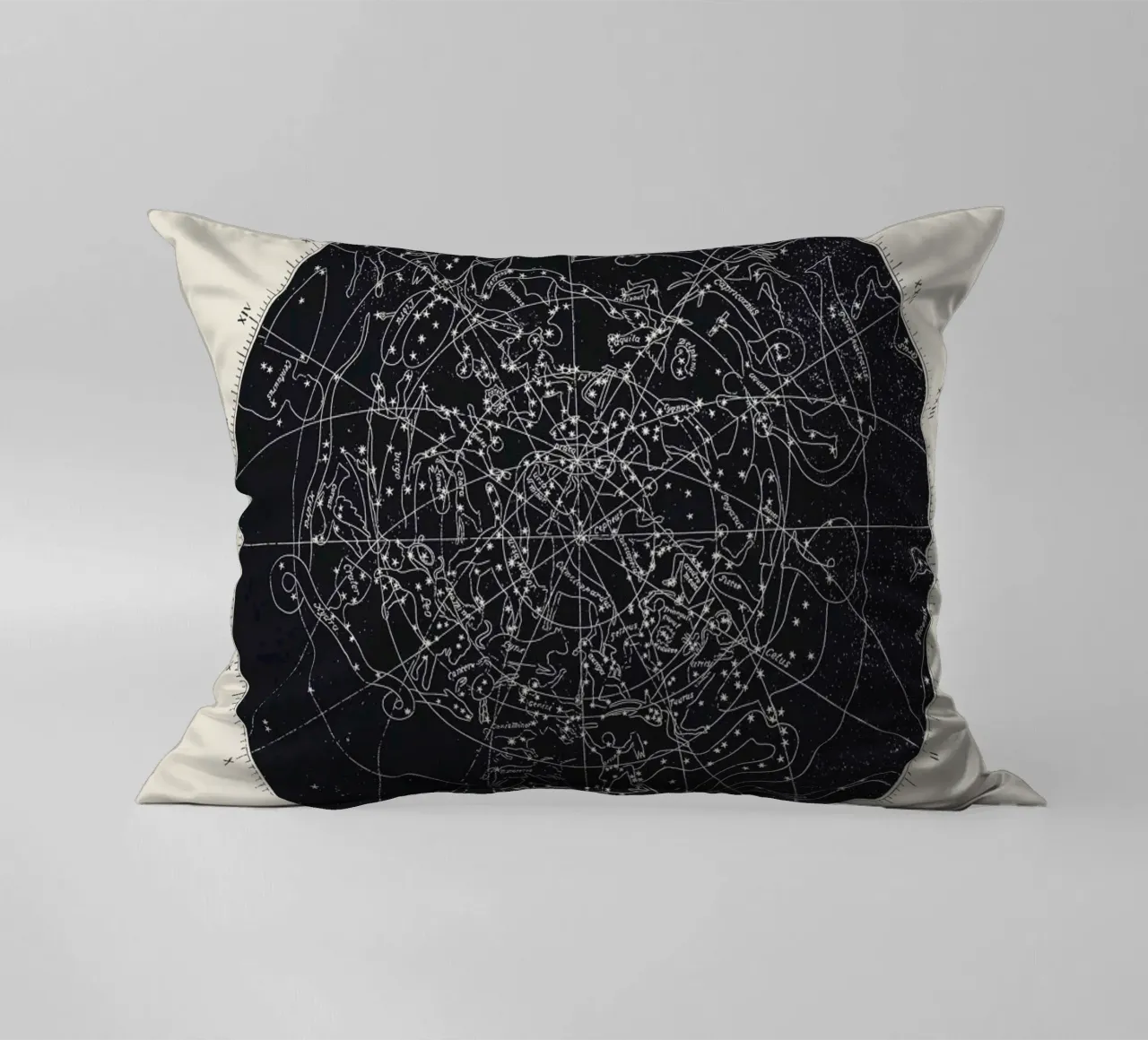 Map n°XIV cuscino da Astër