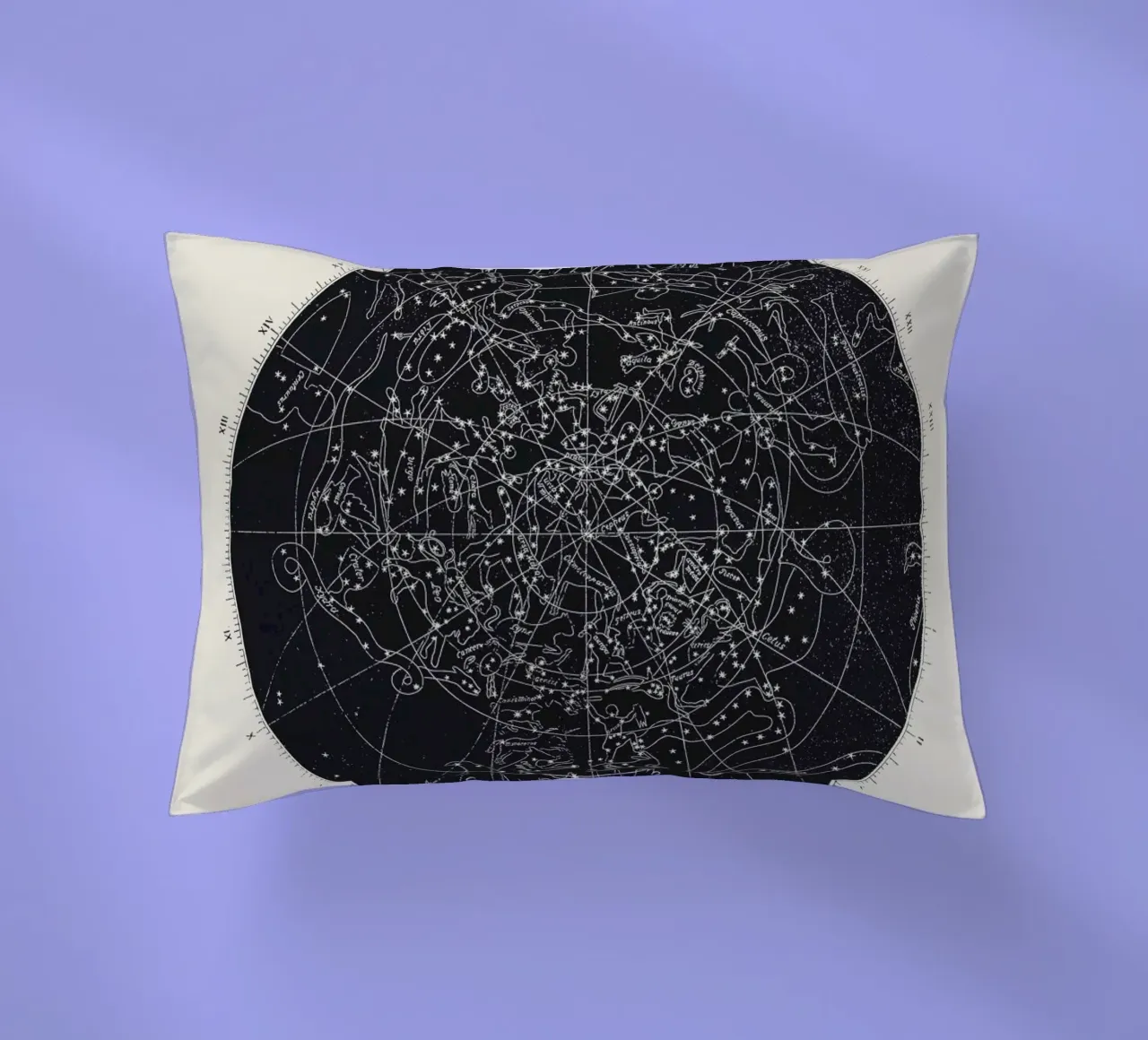 Map n°XIV cuscino da Astër