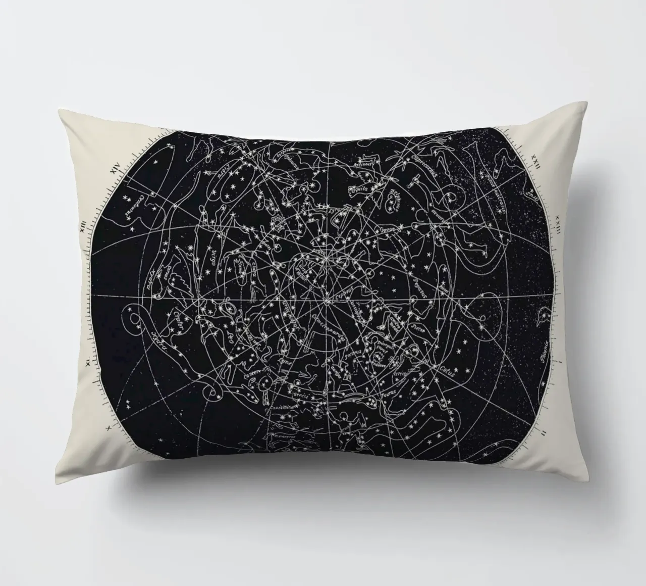 Map n°XIV cuscino da Astër