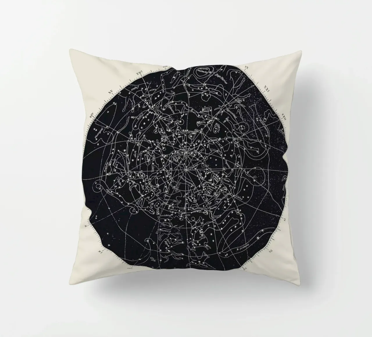 Map n°XIV cuscino da Astër