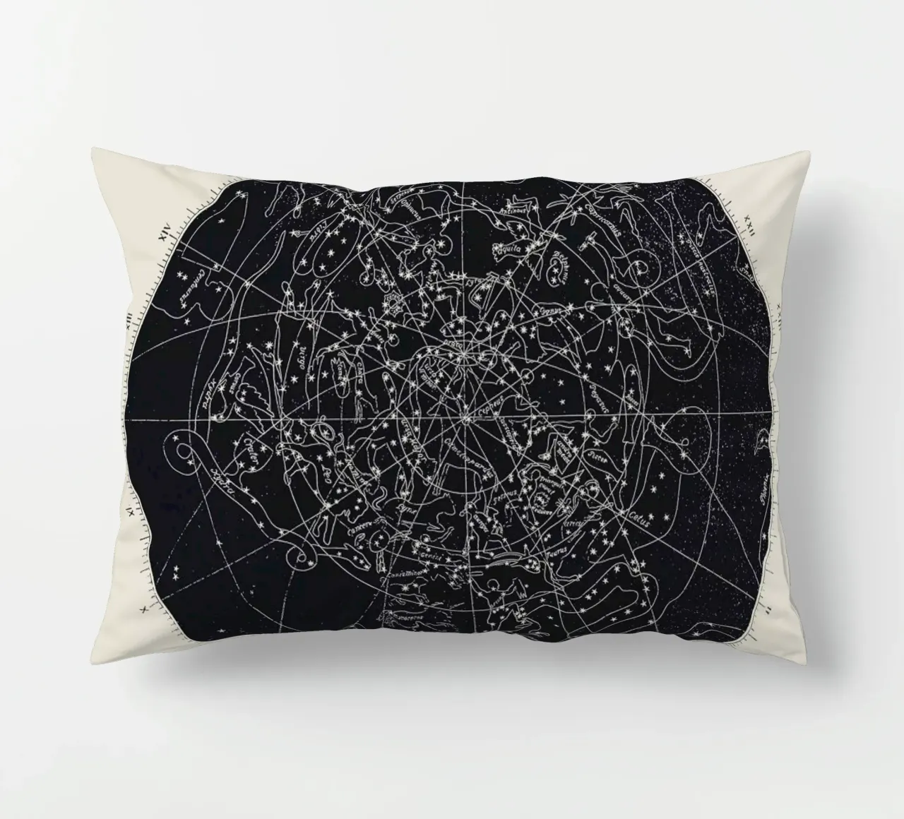 Map n°XIV cuscino da Astër