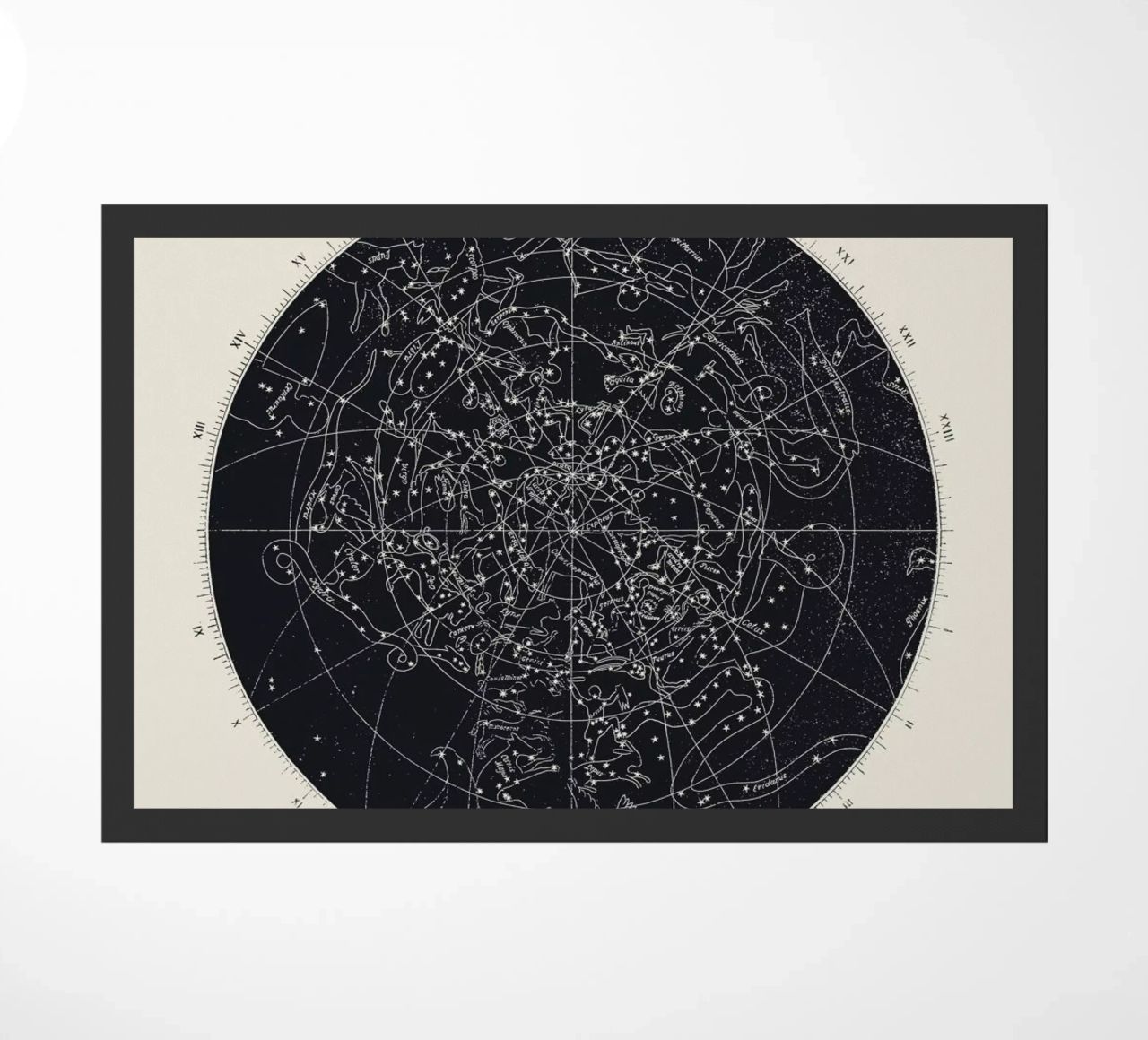 Map n°XIV zerbino da Astër