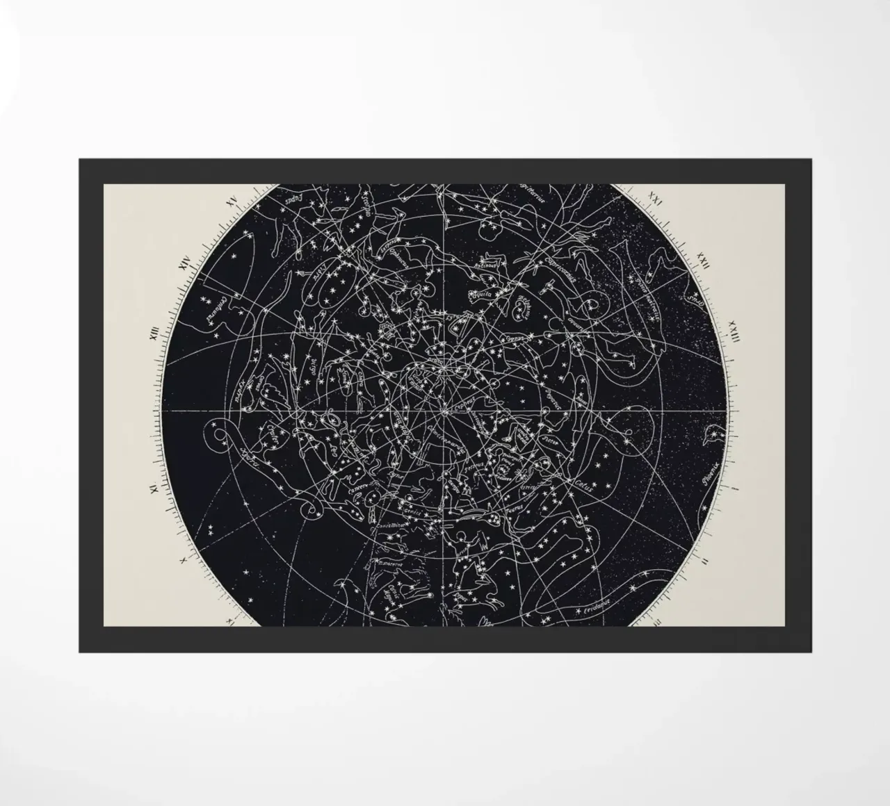 Map n°XIV zerbino da Astër