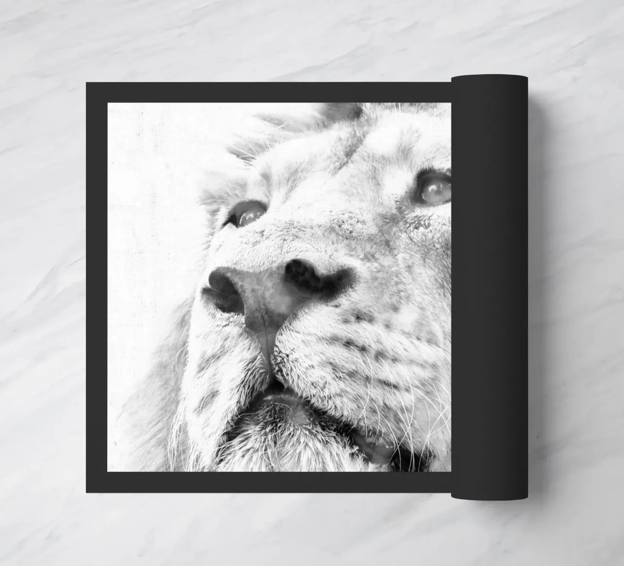 Leone zerbino da Teresa André