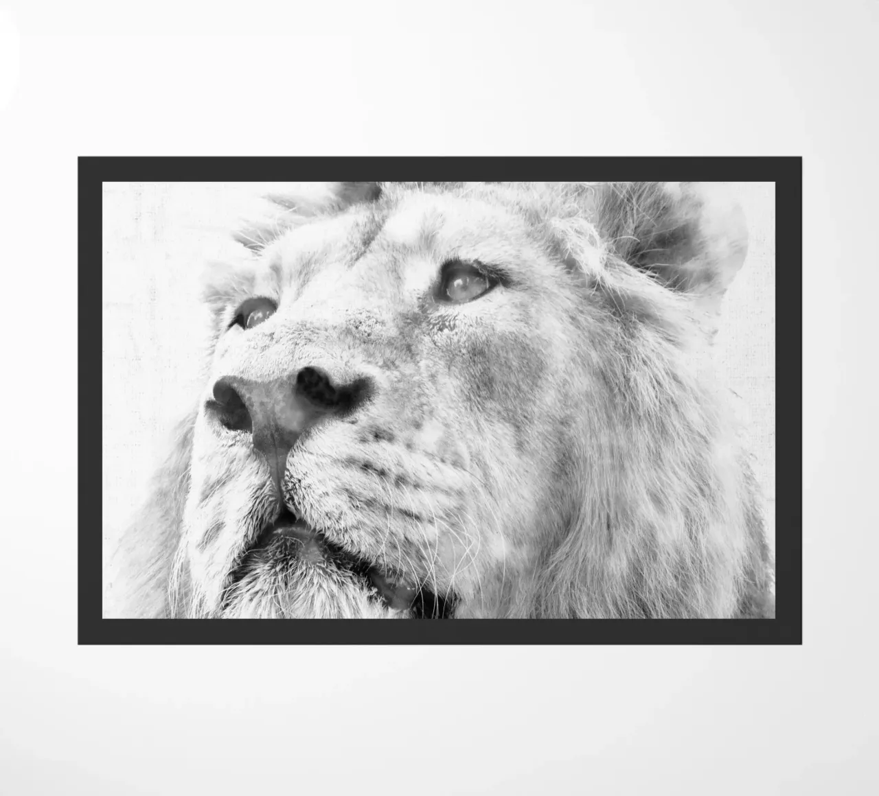 Leone zerbino da Teresa André