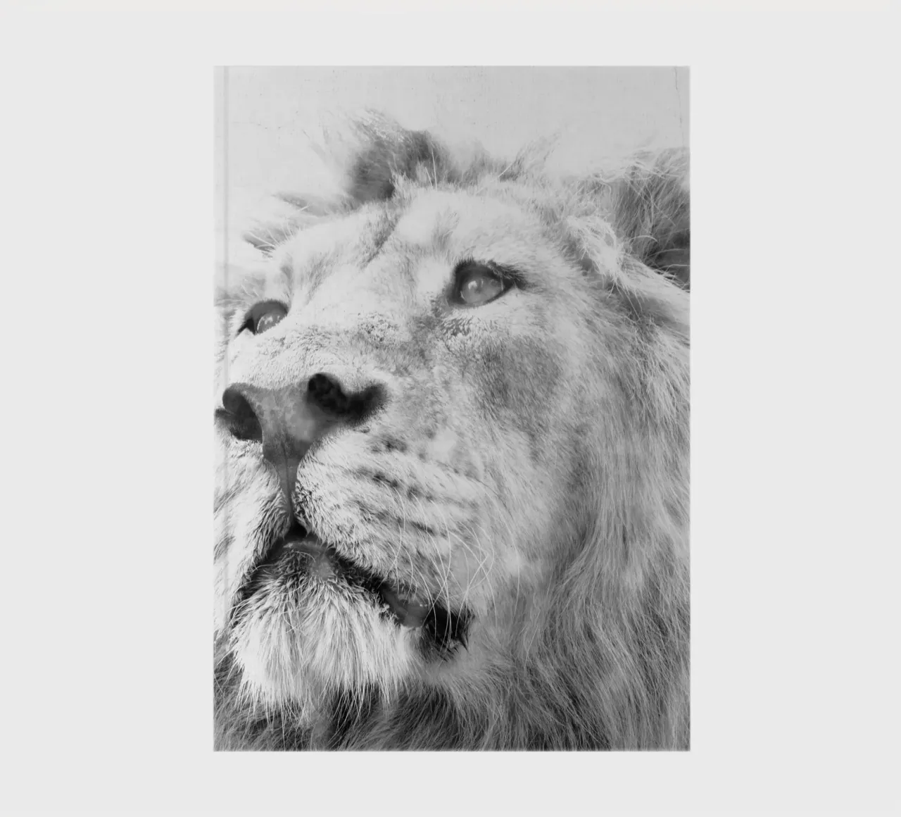 Lion notebook by Teresa André