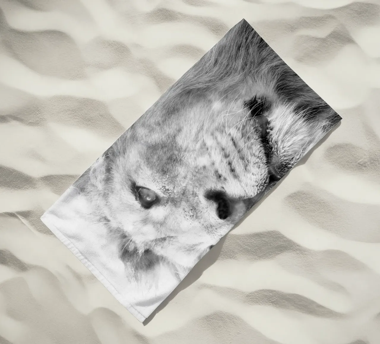 Leone telo mare da Teresa André