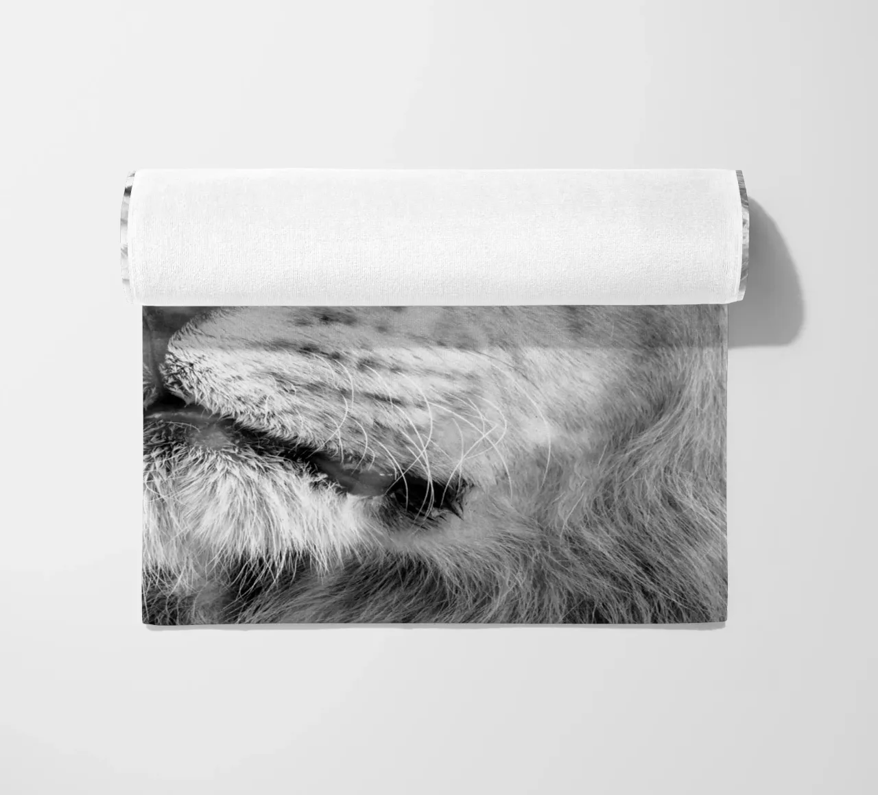 Leone telo mare da Teresa André