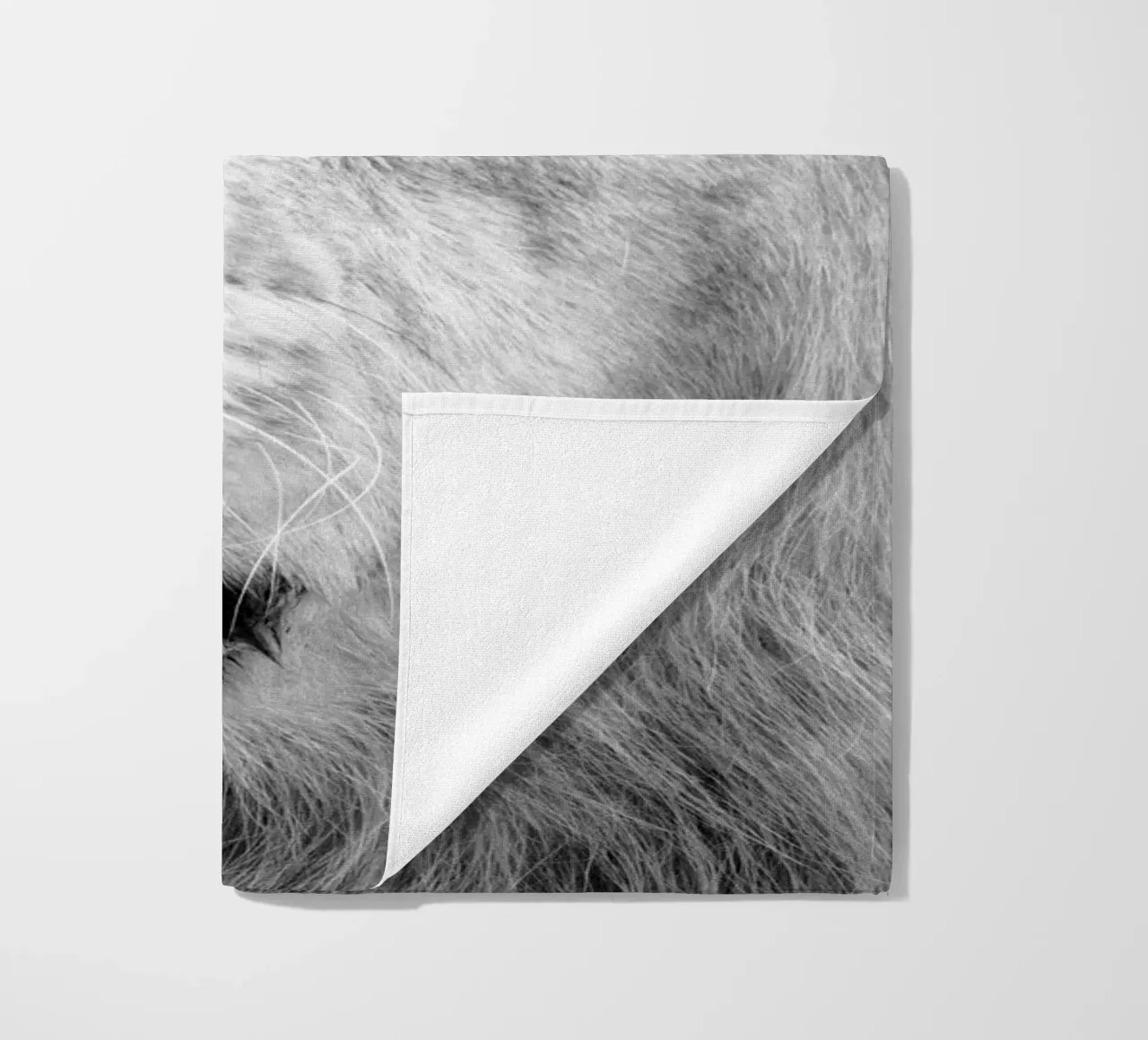 Leone telo mare da Teresa André