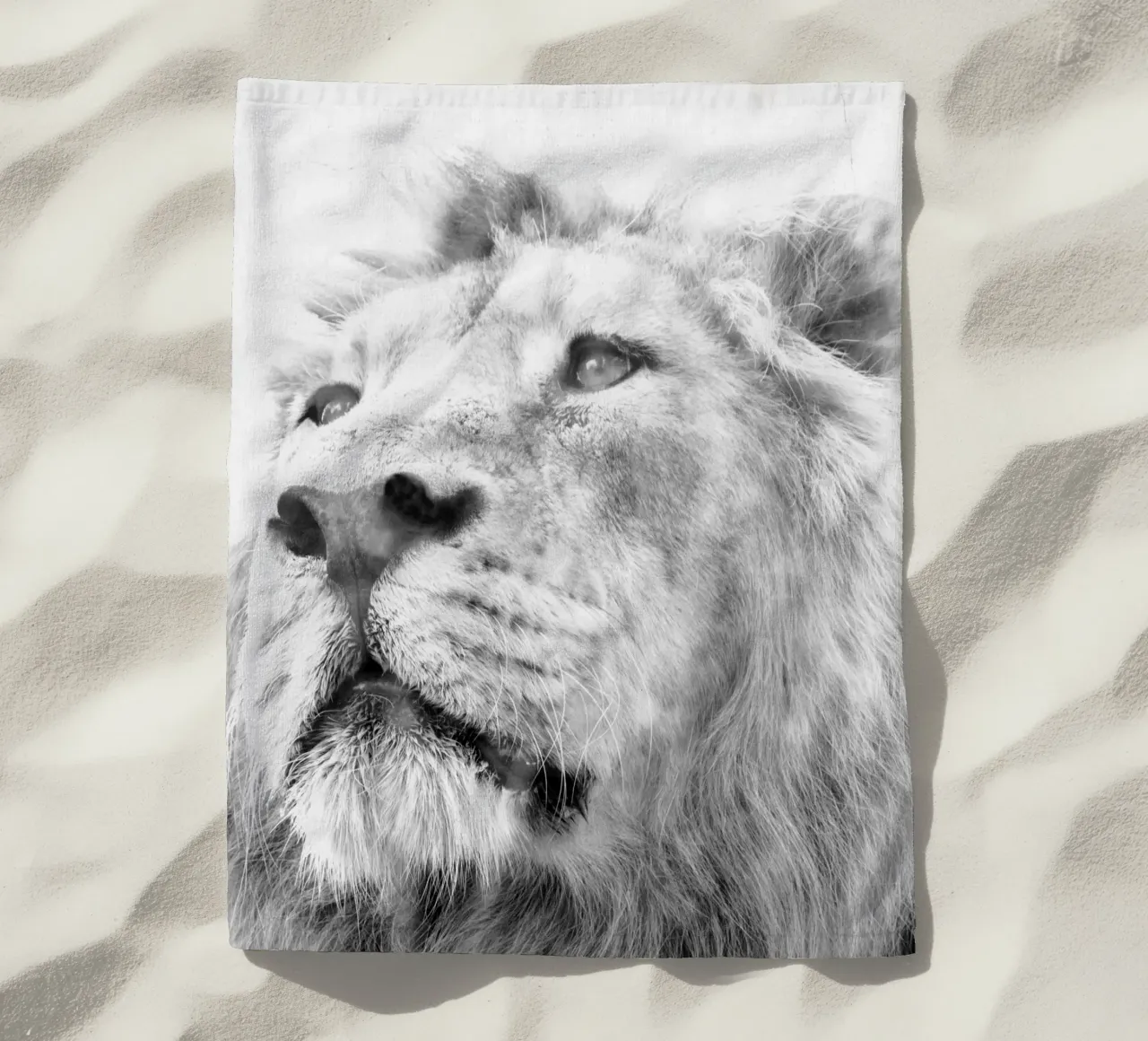 Leone telo mare da Teresa André