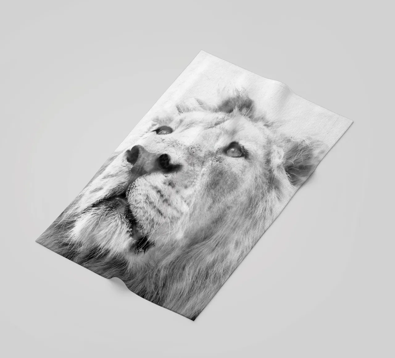 Leone telo mare da Teresa André