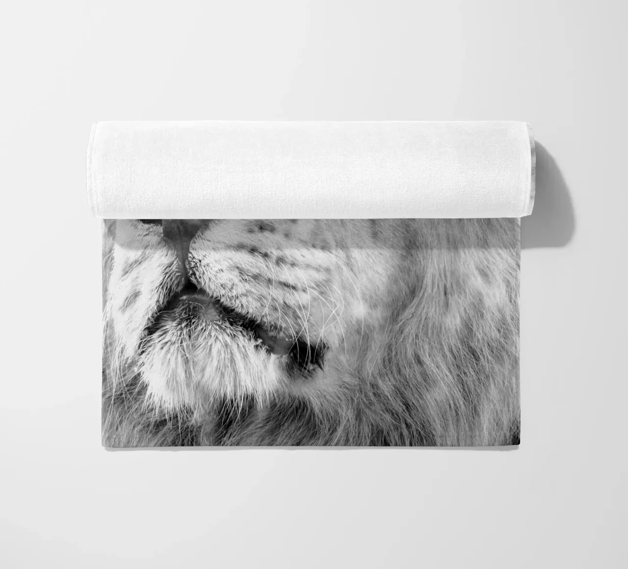 Leone telo mare da Teresa André