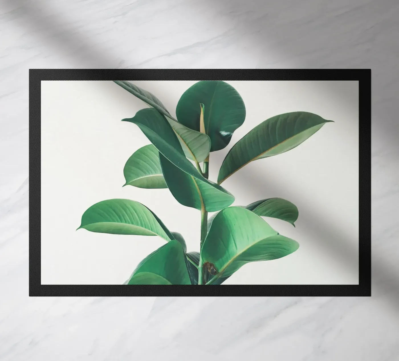 Rubber Fig doormat by Cassia Beck Photography