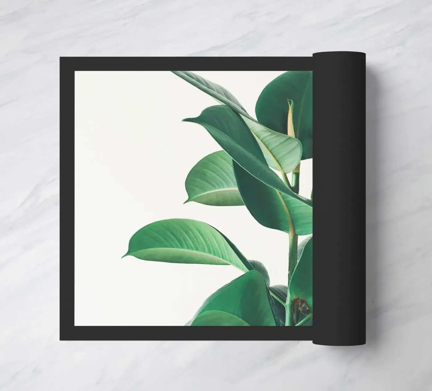 Rubber Fig doormat by Cassia Beck Photography