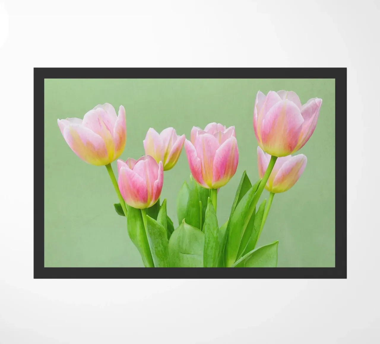 Tulipani rosa zerbino da Cassia Beck Photography