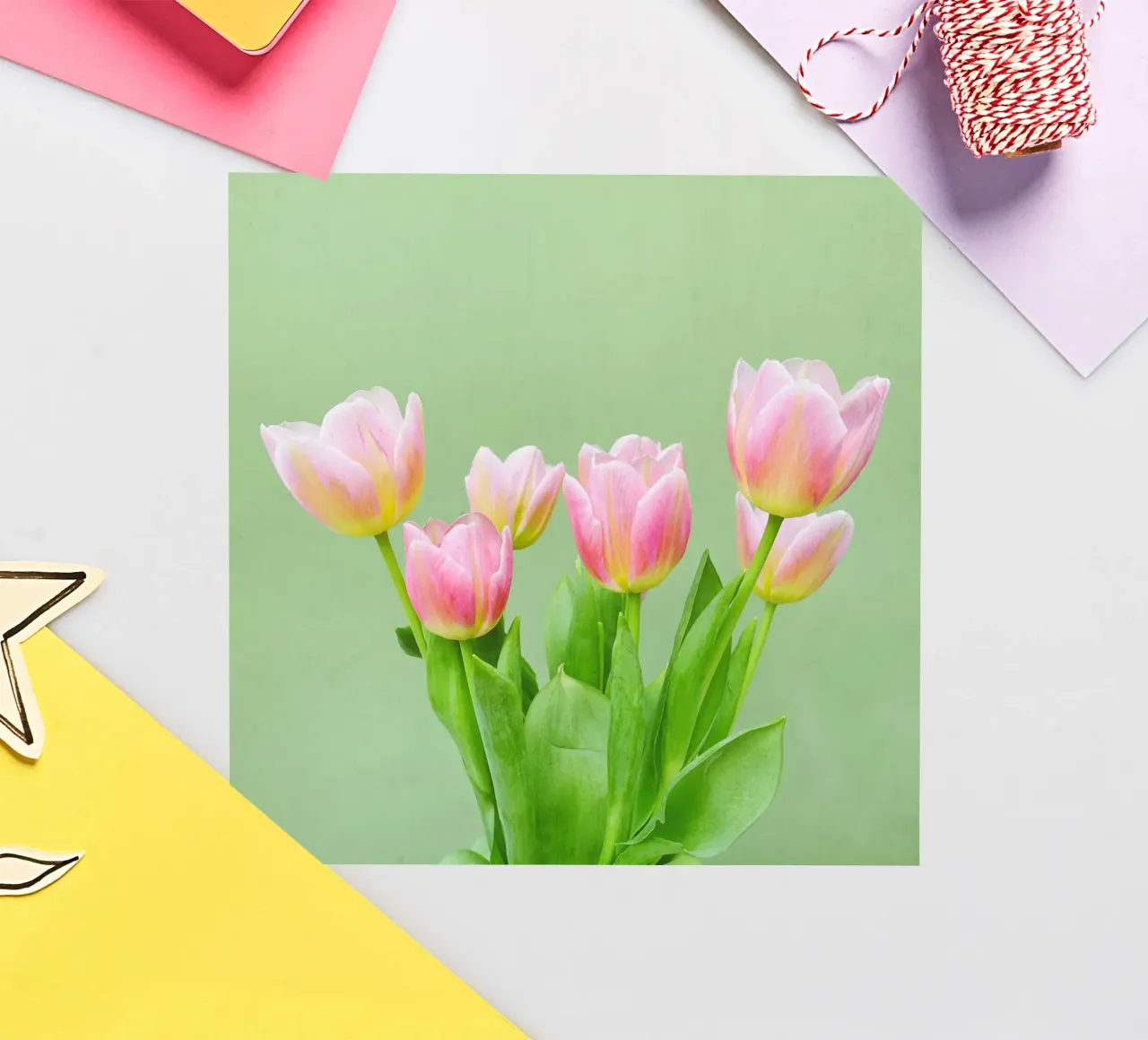 Pink Tulips sticker by Cassia Beck Photography