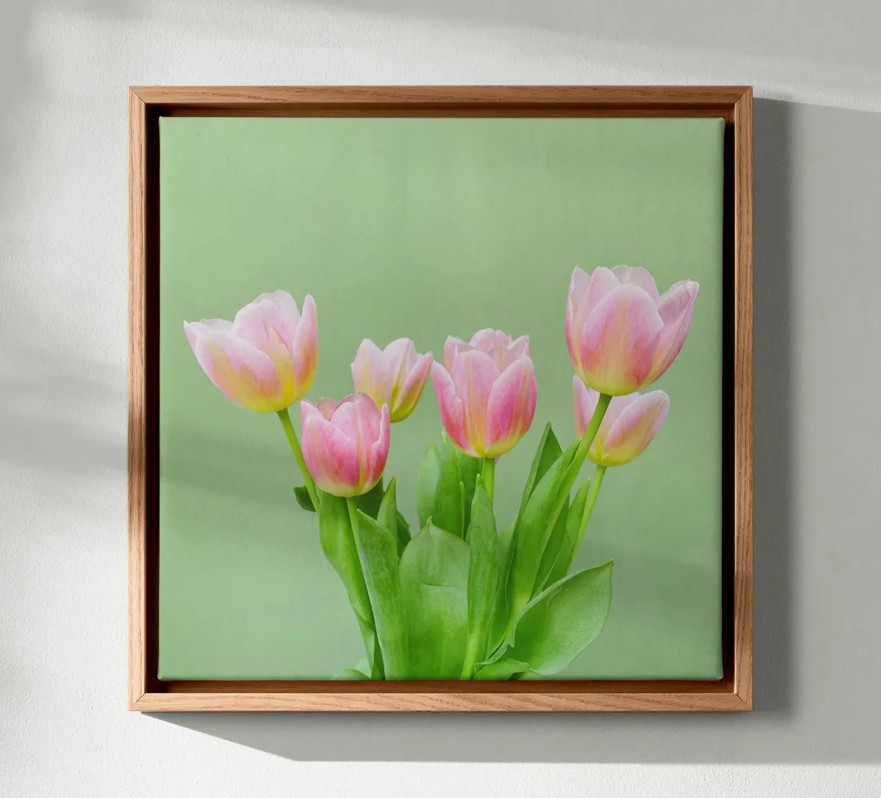Pink Tulips canvas by Cassia Beck Photography