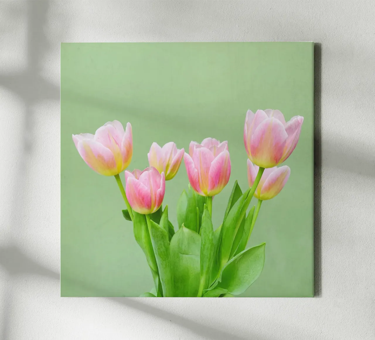 Pink Tulips canvas by Cassia Beck Photography