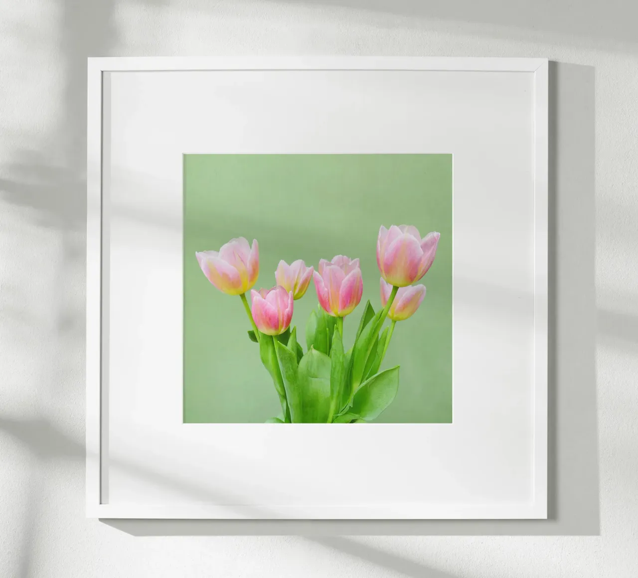 Pink Tulips hahnemühle by Cassia Beck Photography