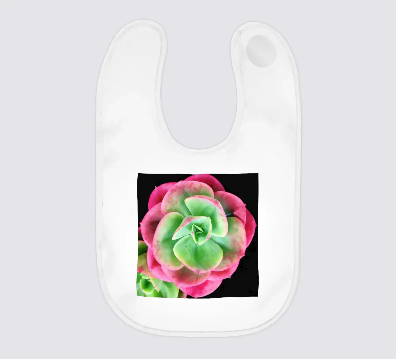 Succulenta rosa e verde bavaglino da Teresa André