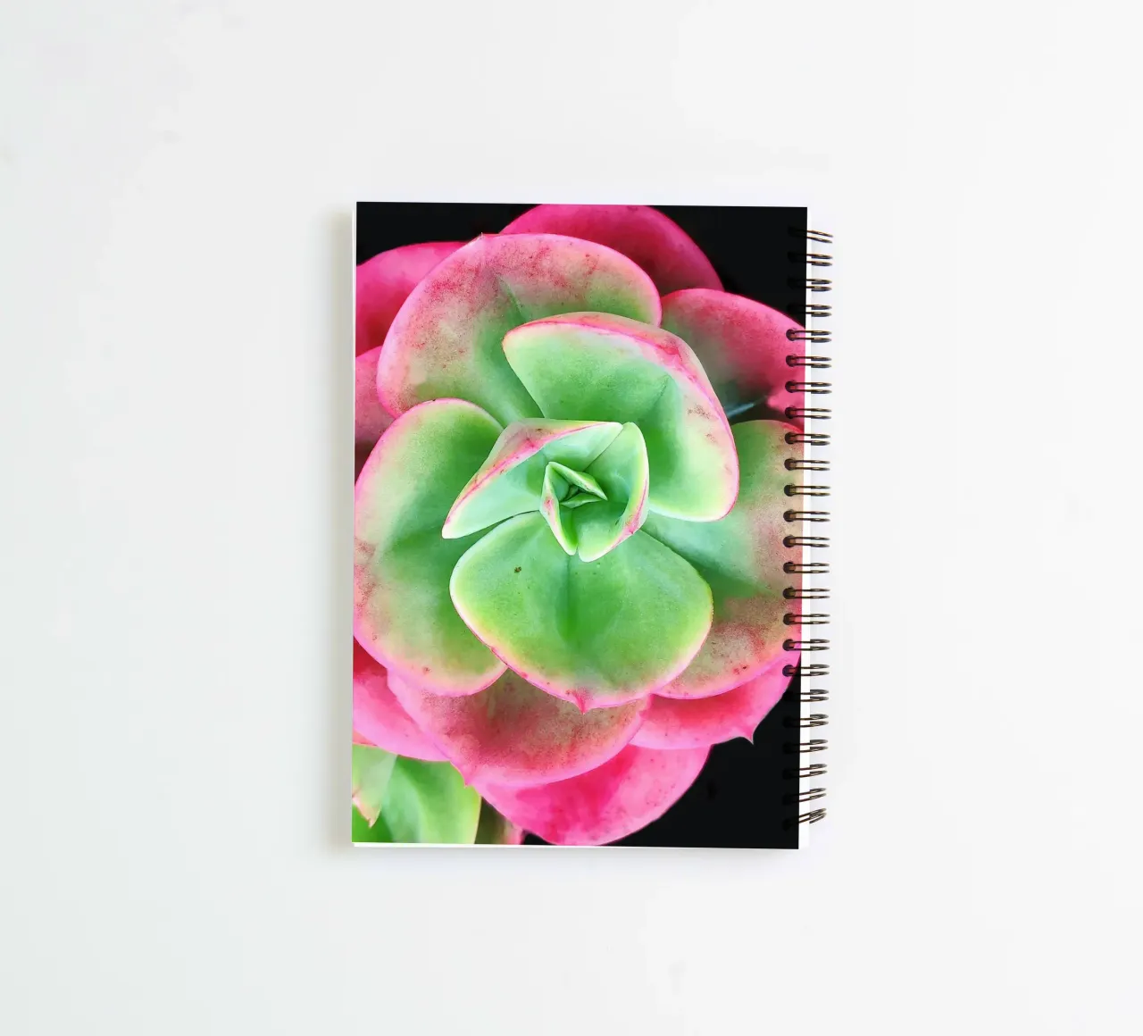 Pink and green succulent spiral notebook by Teresa André
